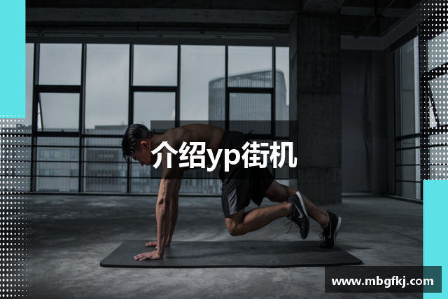 介绍yp街机